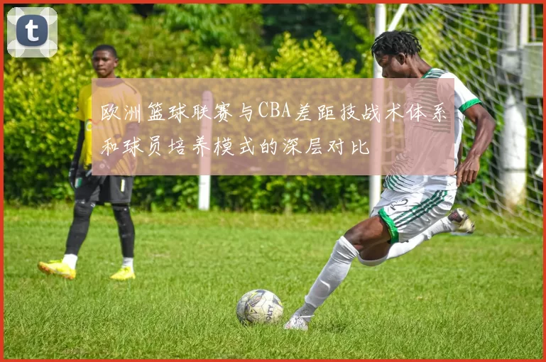 欧洲篮球联赛与CBA差距技战术体系和球员培养模式的深层对比