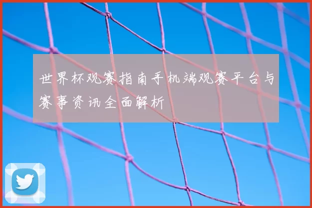 世界杯观赛指南手机端观赛平台与赛事资讯全面解析