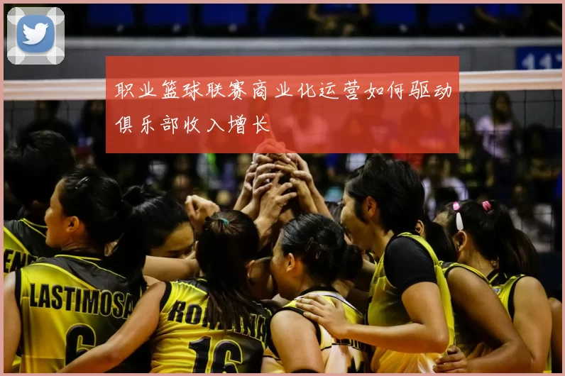 职业篮球联赛商业化运营如何驱动俱乐部收入增长