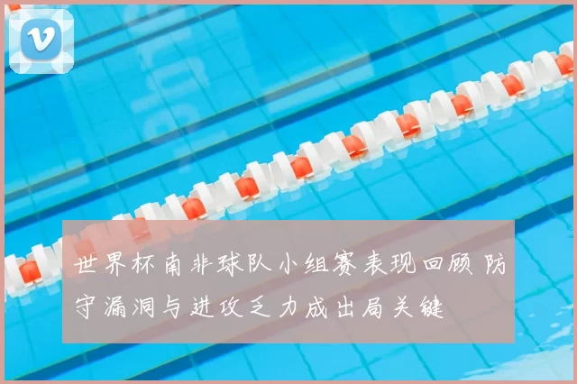 世界杯南非球队小组赛表现回顾 防守漏洞与进攻乏力成出局关键