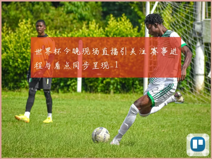 世界杯今晚现场直播引关注 赛事进程与看点同步呈现_1